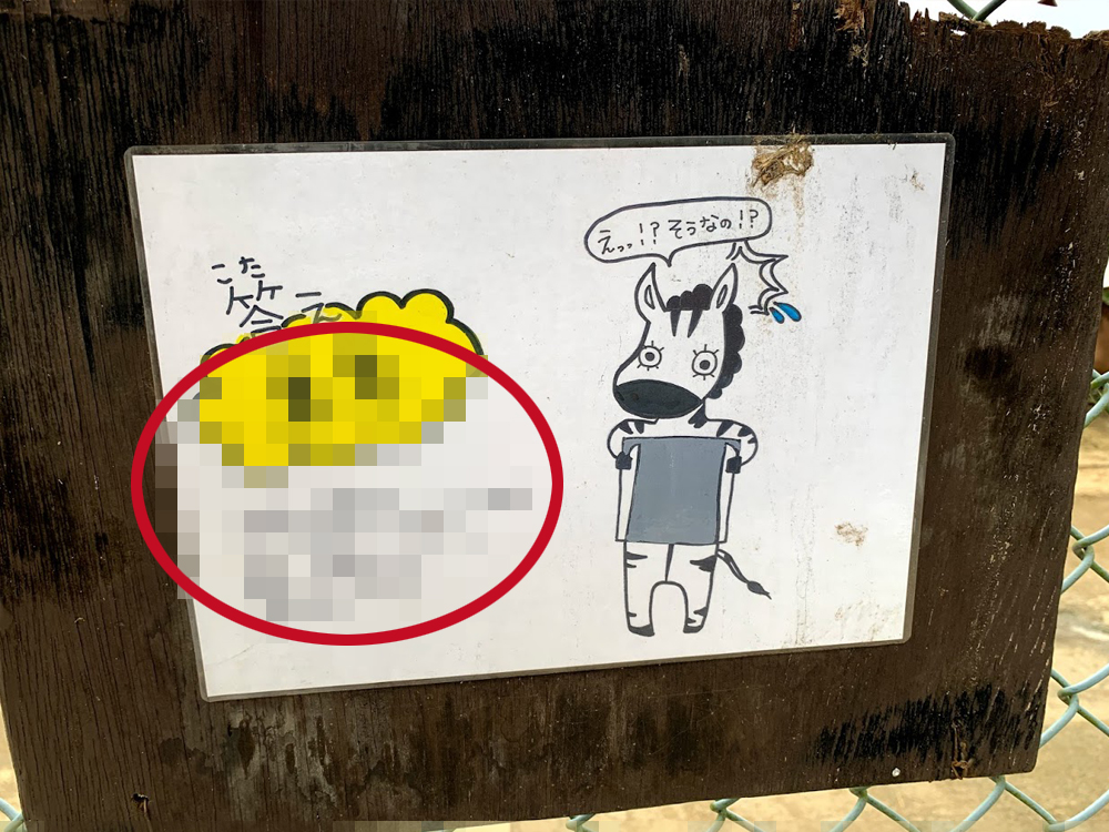 群馬サファリパークでなぞなぞシマウマ答え
